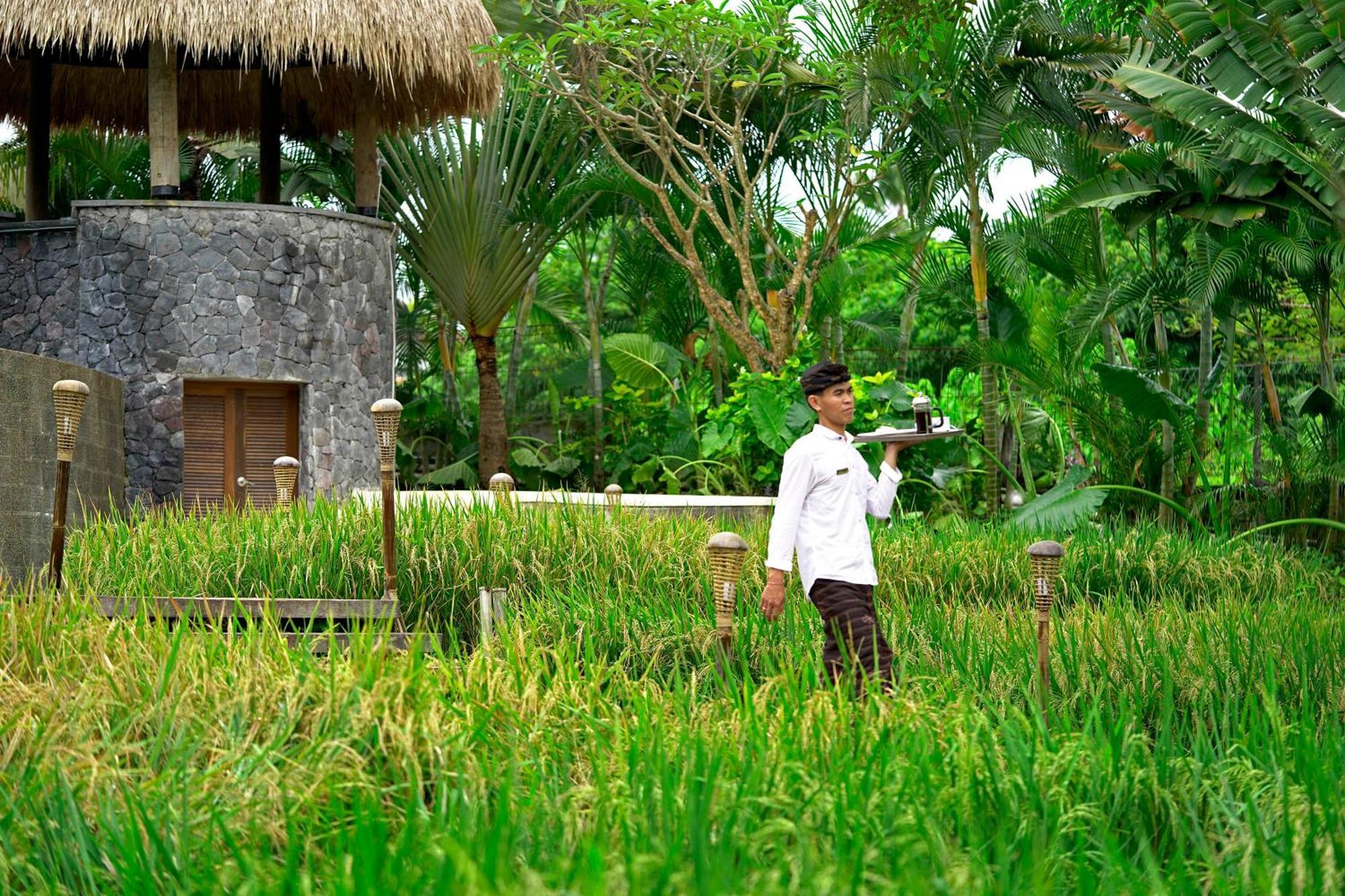 Lalasa Villas Canggu Exteriér fotografie